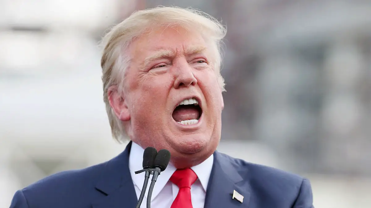 Stressed Out by the Election? Here Are 5 Things You Can Do to Calm Yourself Down