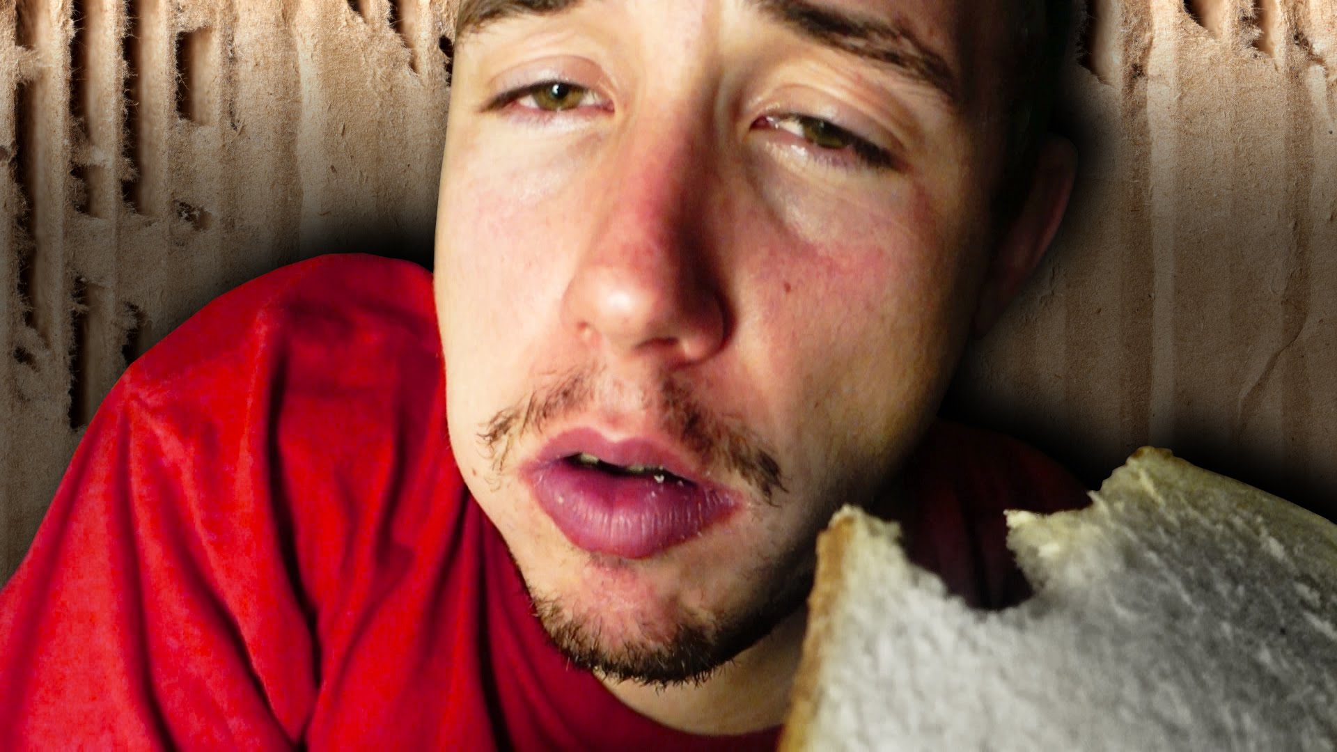 The Human Mail Challenge and the Dangers of YouTube Trends