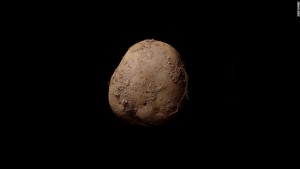 The Cosmos as Explained Through Live Music, Potatoes and College