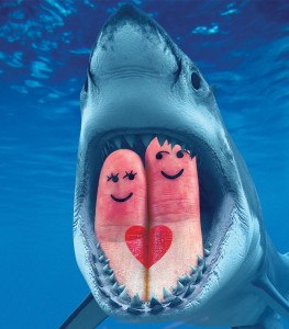 Valentine’s Day vs. Sharks