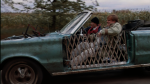 Car Maintenance for College Students Who Don't Care