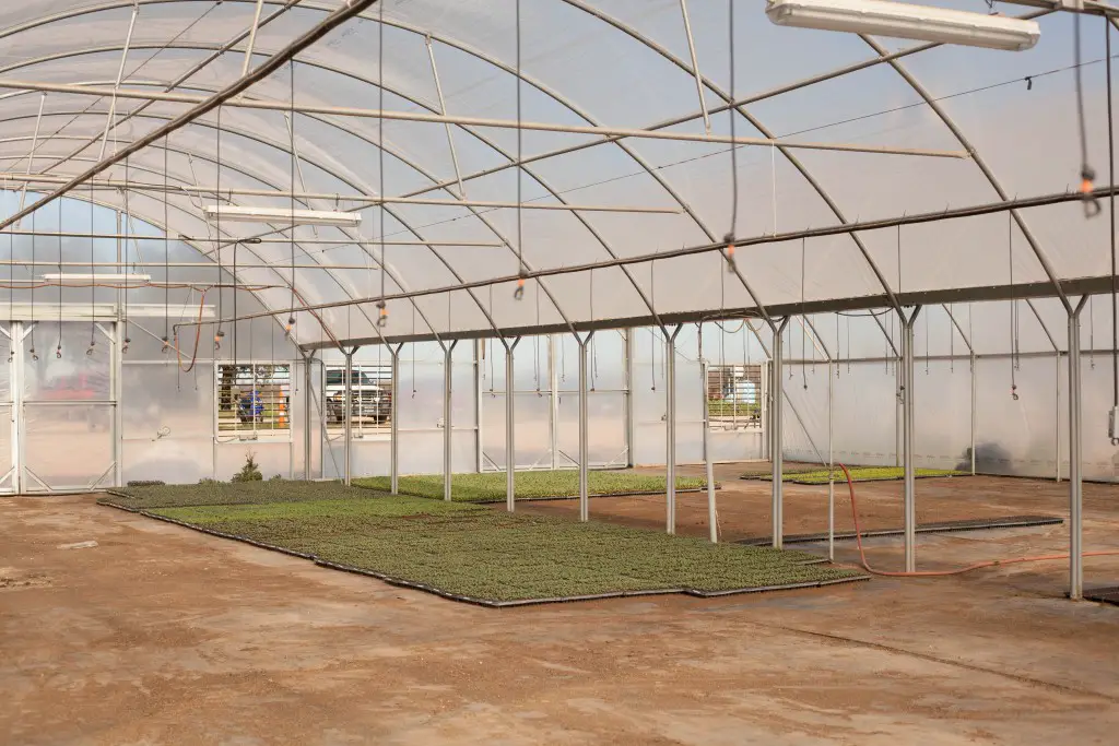 A Day at America’s Hippest Farm