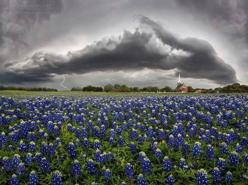 Things I Didn’t Realize I’d Miss About Texas Until I Left