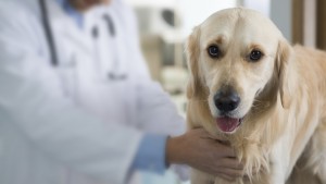 The Unpleasant Reality of Being a Receptionist