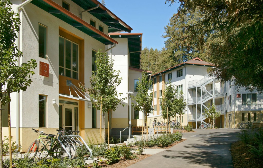 The Startling Agency of Student Organizations at UC Santa Cruz