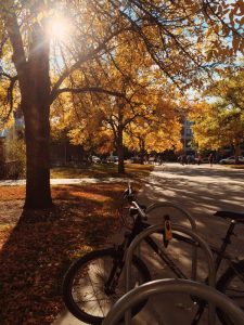 Boise State Campus; Boise, Idaho