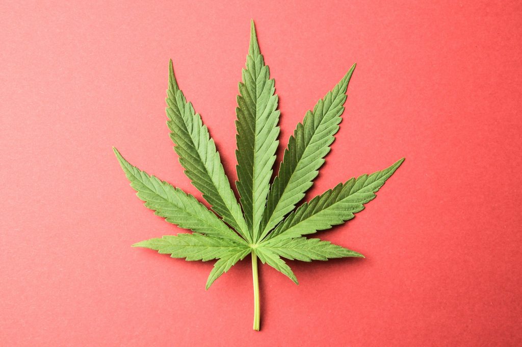 The Latest on Cannabis Reform in Texas
