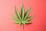 The Latest on Cannabis Reform in Texas