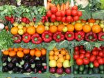 What I Learned During My 3-Month (Mostly) Raw Diet