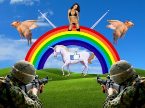 Navigating Echo Chambers, Fake News and Really Just the Internet in General