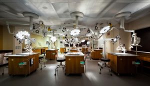 Letter to a Pre-Med Freshman: Lessons from an Older Pre-Med Student