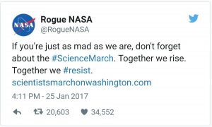 Going Rogue: Why Government Organizations Have Taken to Twitter