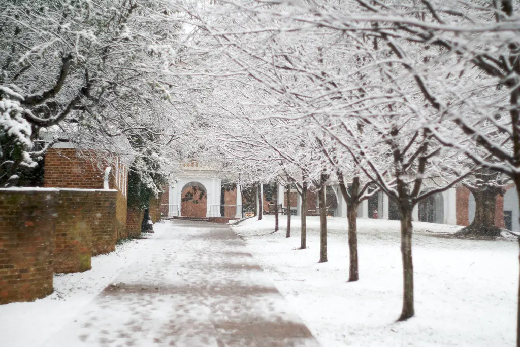 5 Reasons Why the Spring Semester Is Definitely Worse Than Fall