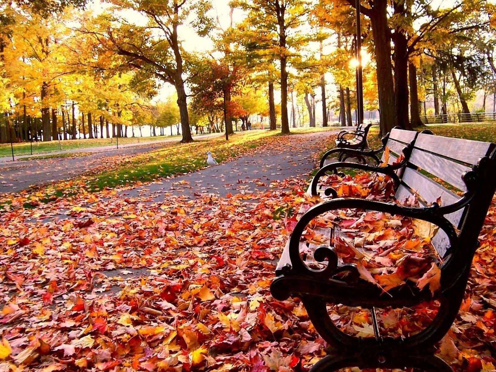 5 Reasons Why Fall Semester Is Better Than Spring
