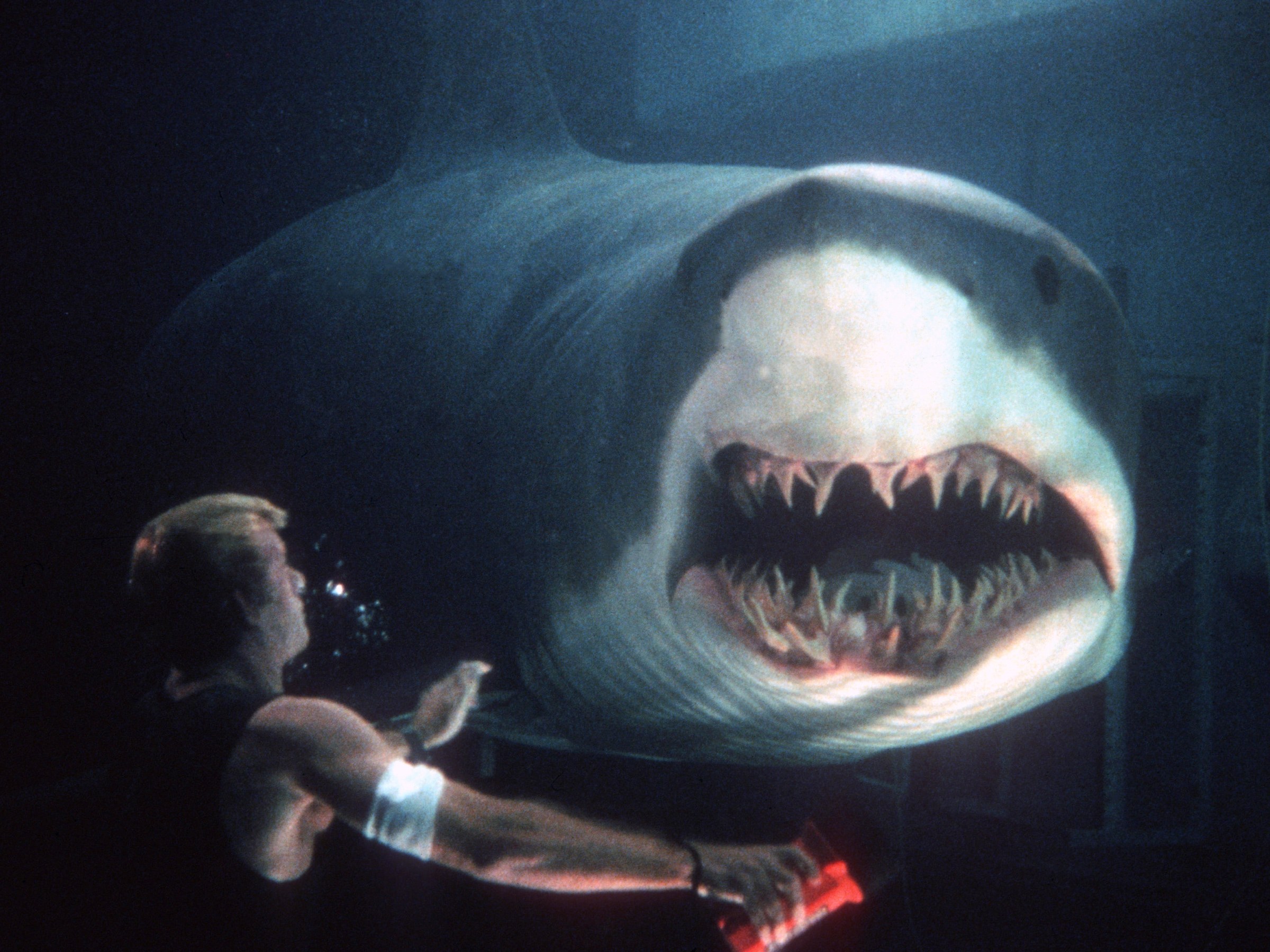 Netflix Users Can't Get Enough of a Shockingly Good Giant Shark Sequel