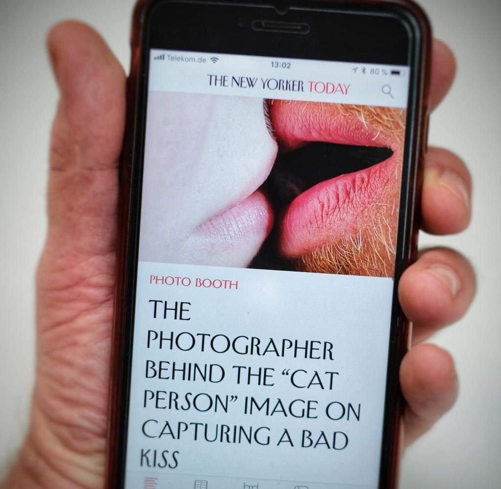 cat person
