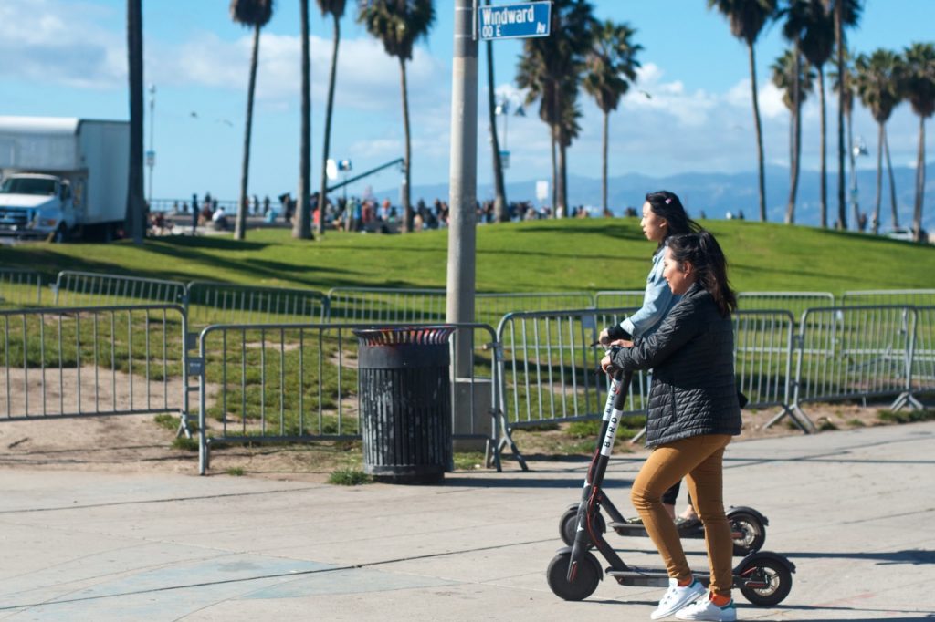 Bird scooter