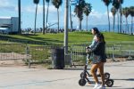 Bird scooter