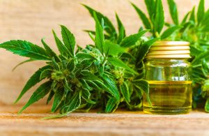 CBD oil