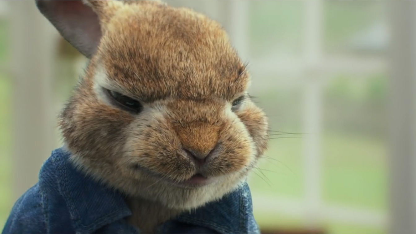 「Peter rabbit movie」の画像検索結果
