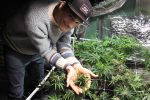 In Alaska, Legal Weed Doesn't Mean Available WeedIn Alaska, Legal Weed Doesn't Mean Available Weed