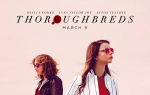Thoroughbreds