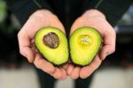 avoprosal