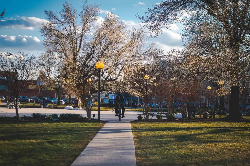 Backdrop: Howard University and the City of Washington, D.C. - STUDY BREAKS