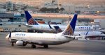 United Airlines animal deaths