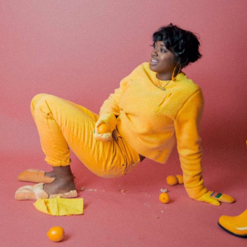 Image result for tierra whack 500x500
