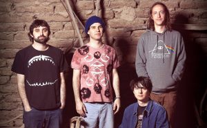 animal collective