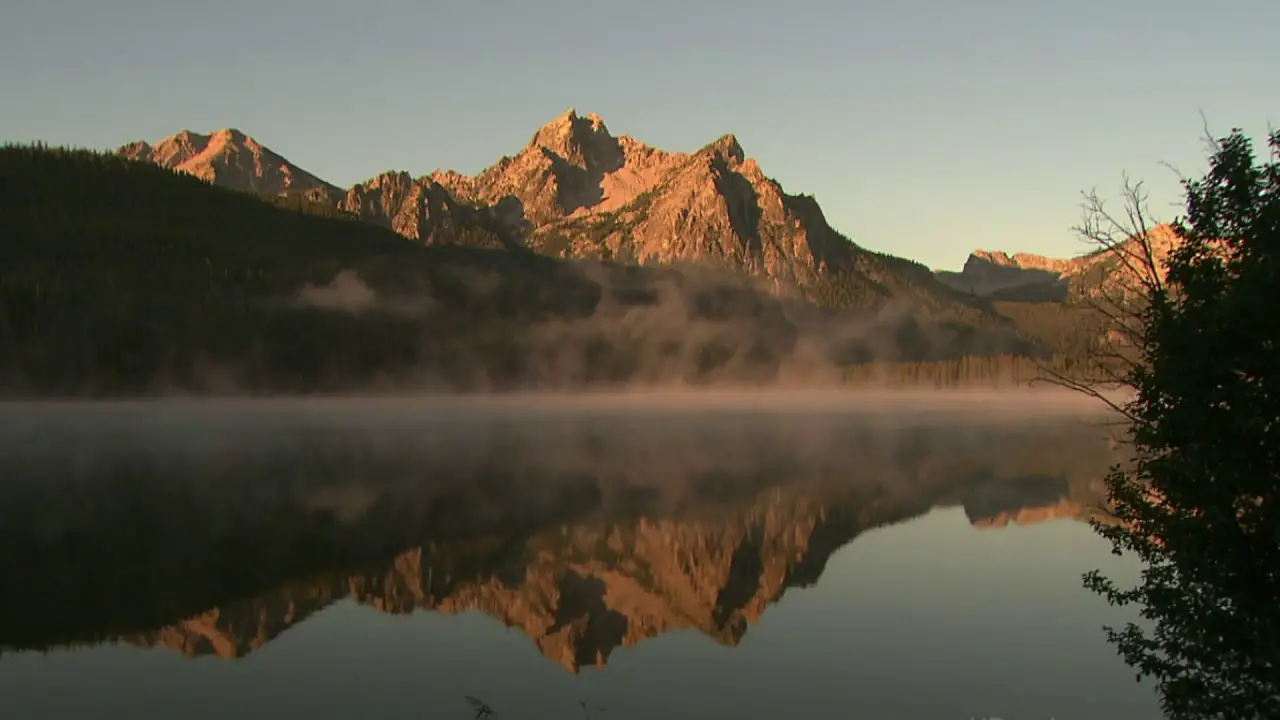 Nature documentaries