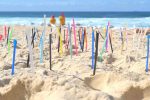 plastic straws