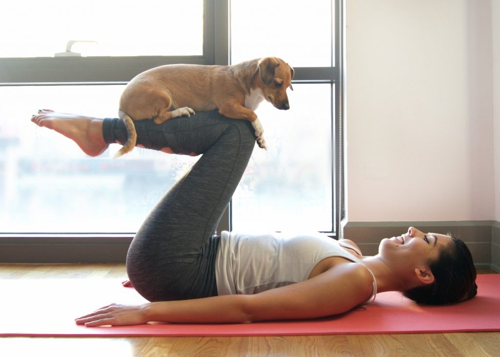 animal yoga