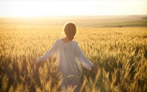 The Midwest has much more to offer than corn fields. (Image via Pinterest)