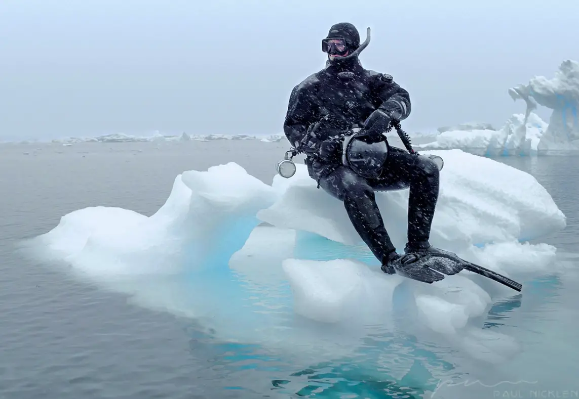 Photographer Paul Nicklen Sees Climate Change in Snapshots