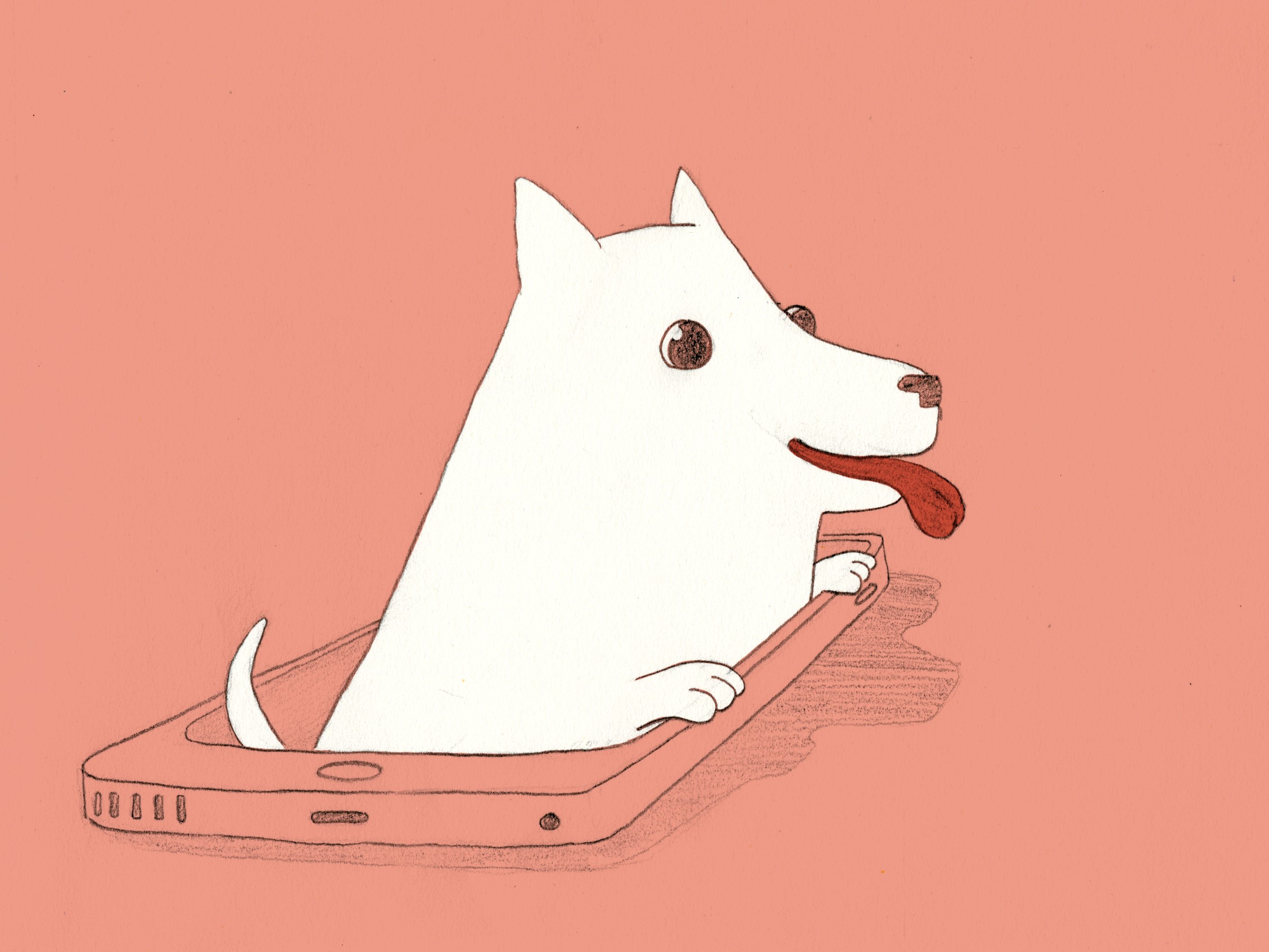 A Tinder for Dog Adoptions? The World Is Swiping Right on GetPet A Tinder for Dog Adoptions? The World Is Swiping Right on GetPet