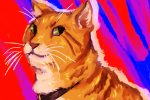 Don't sleep on Captain Marvel's cat - she's more dangerous than you think. (Illustration via Erik Ojo, Northeastern University)