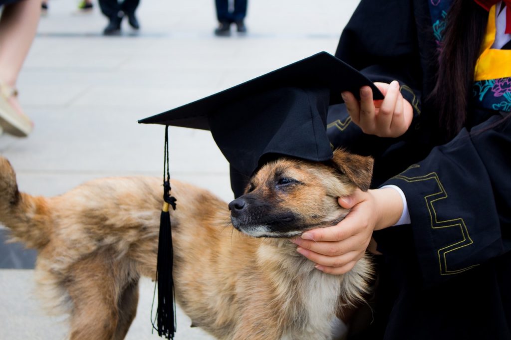 graduation photos