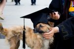 graduation photos