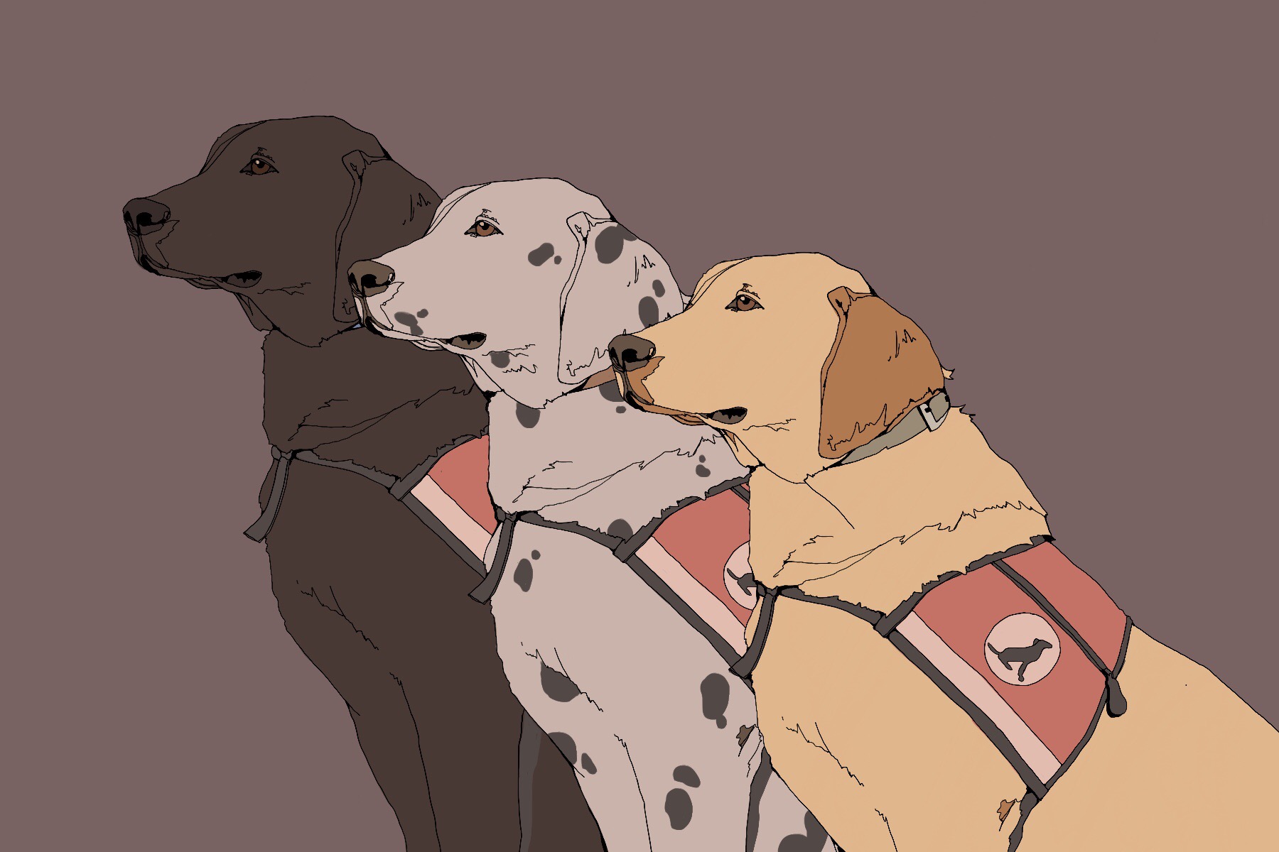 are service dogs trained