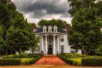 Greek Life