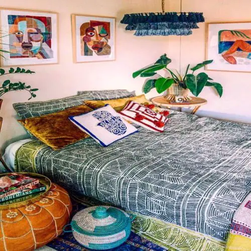 The 5 Best Plants to Keep in Your Dorm Room