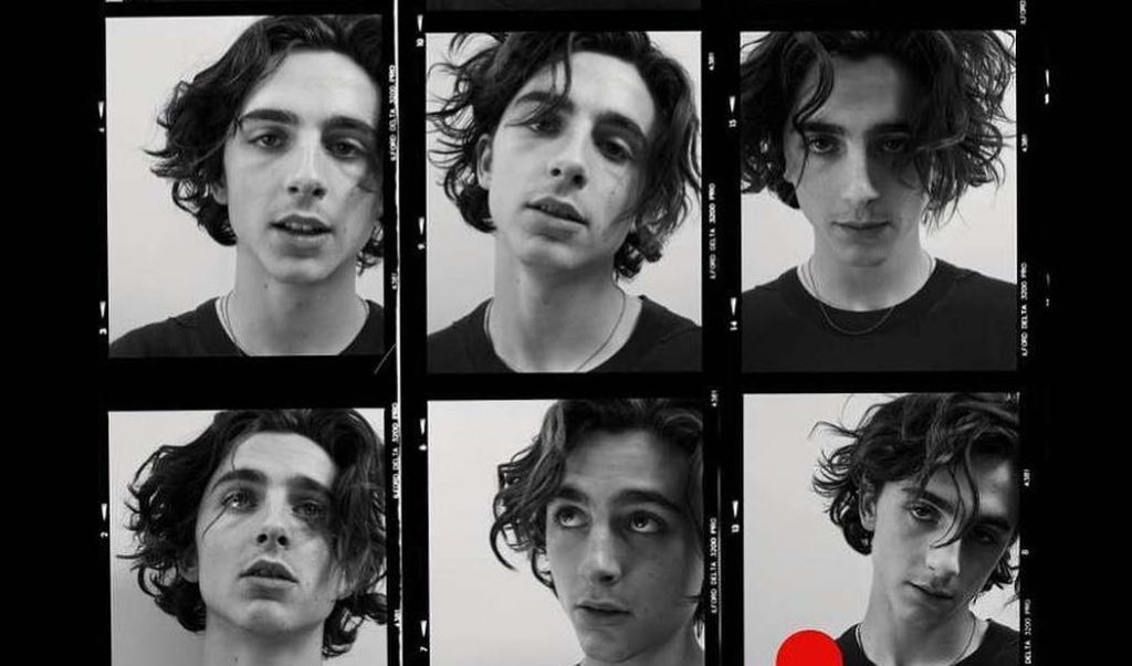 Timothée Chalamet