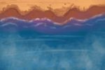 The Witness
