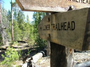 A Short Hike