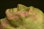 Peter Cushing life mask for Madison Feser's article on CGI