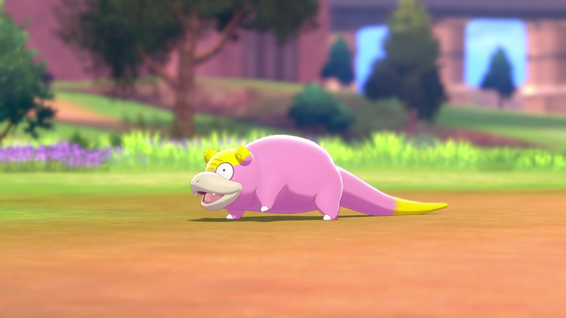 Pokémon Revals From the Nintendo Direct Should Sate Fans for Now