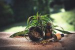 cannabinoids