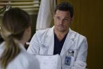 Alex from Grey's Anatomy